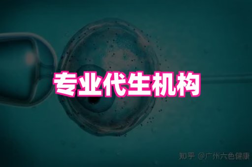 nub孕网 2