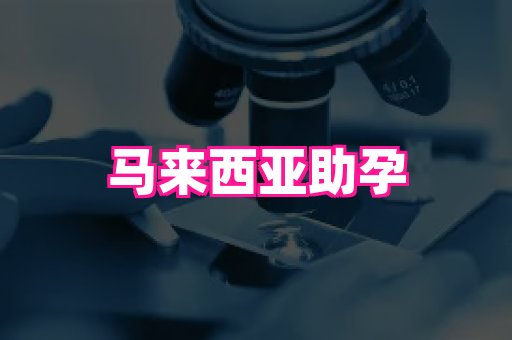 nub孕网 3